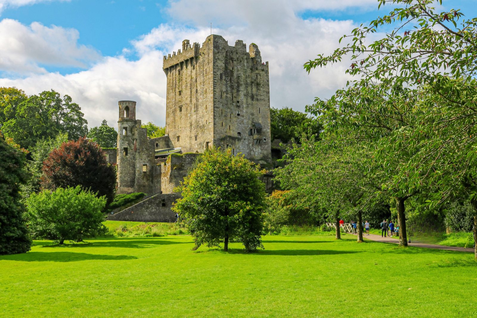 Blarney Castle tower rising above mature woodland, County Cork, Ireland